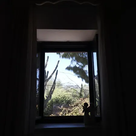 Ha La 4* Bodrum