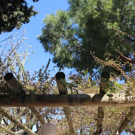 Ha La * Бодрум