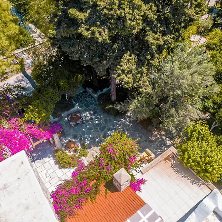 住宿加早餐酒店 哈拉博德鲁姆酒店 *