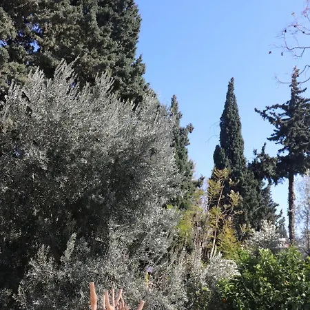 住宿加早餐酒店 哈拉博德鲁姆酒店 *