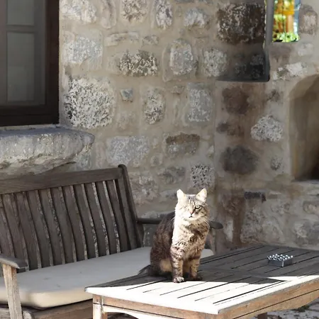 哈拉博德鲁姆酒店 住宿加早餐酒店 *