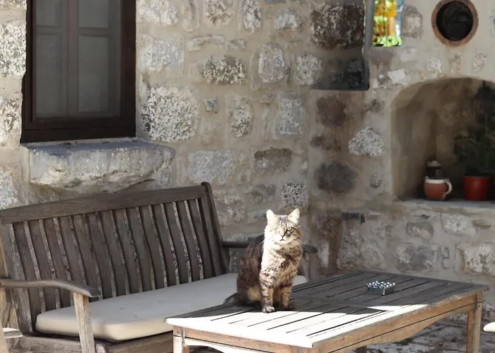 Ha La Bed and breakfast 4*